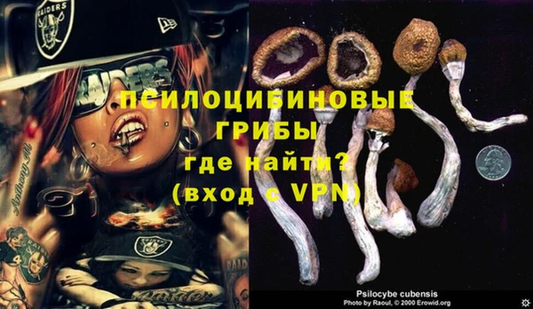 синтетический гашиш Алексеевка
