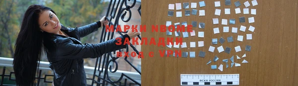 стаф Алексин