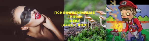 синтетический гашиш Алексеевка