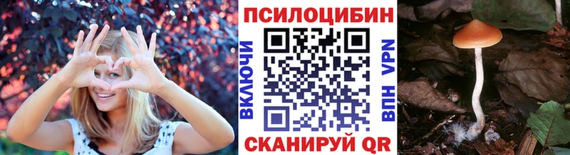 дарнет шоп  нарко площадка официальный сайт  Псилоцибиновые грибы Magic Shrooms  Ейск 